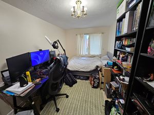 Photo 3- click for photo gallery